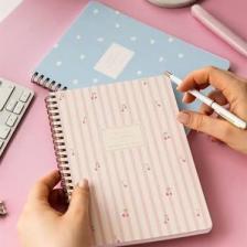 Paperora A5 Spiralli Karton Kapak Çizgili Okul Defteri 80 Yaprak 2'li Set - Ders Programlı - Kiraz