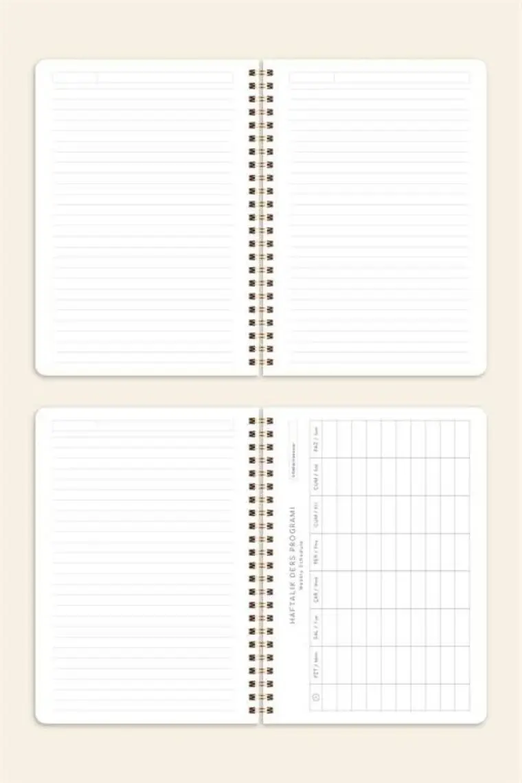 Paperora A5 Spiralli Karton Kapak Çizgili Okul Defteri 80 Yaprak 4'lü Set - Ders Programlı - Mavi