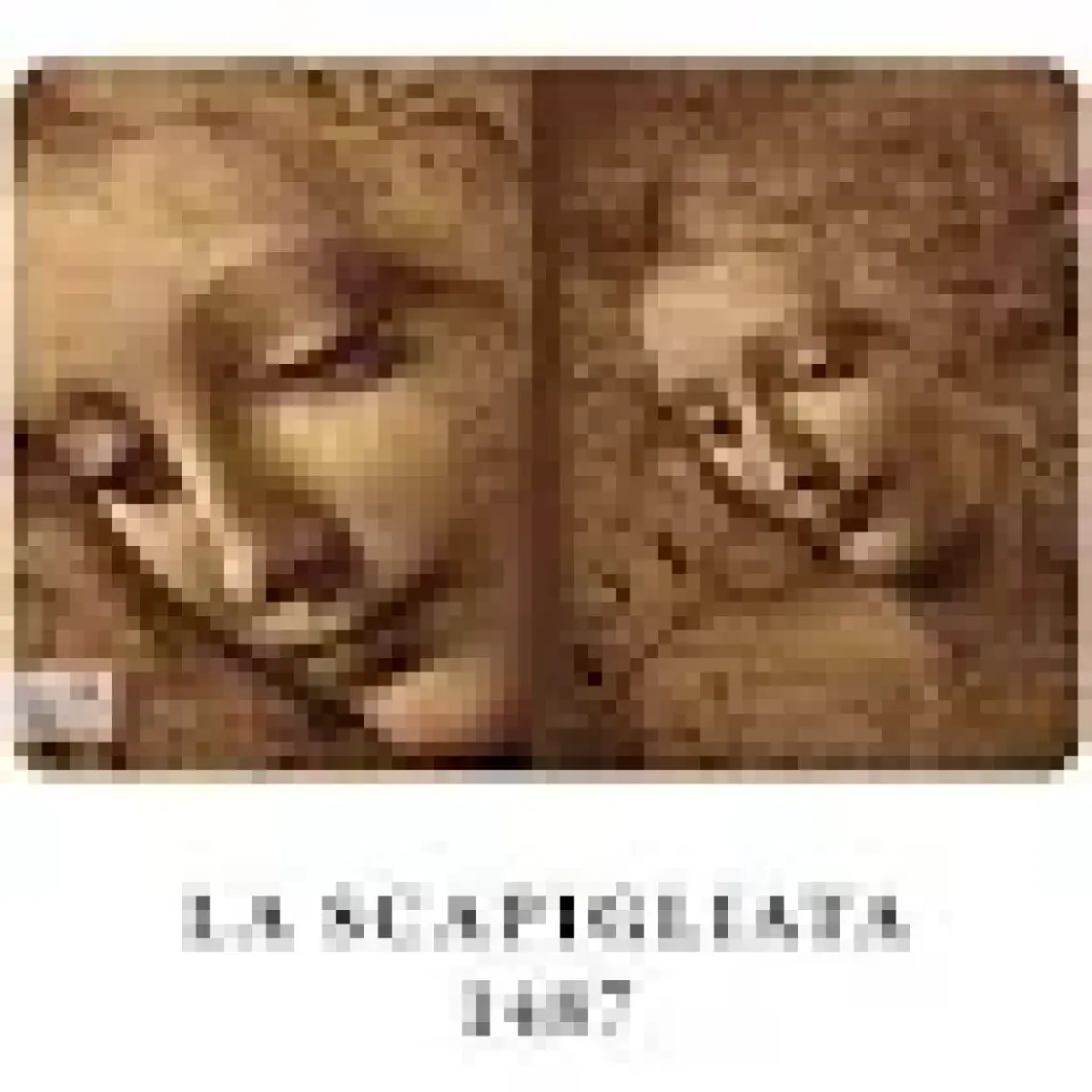 Retronote Da Vinci 4'lü Defter Seti  Renaissance Series  Çizgisiz  64 Sayfa  14X21CM