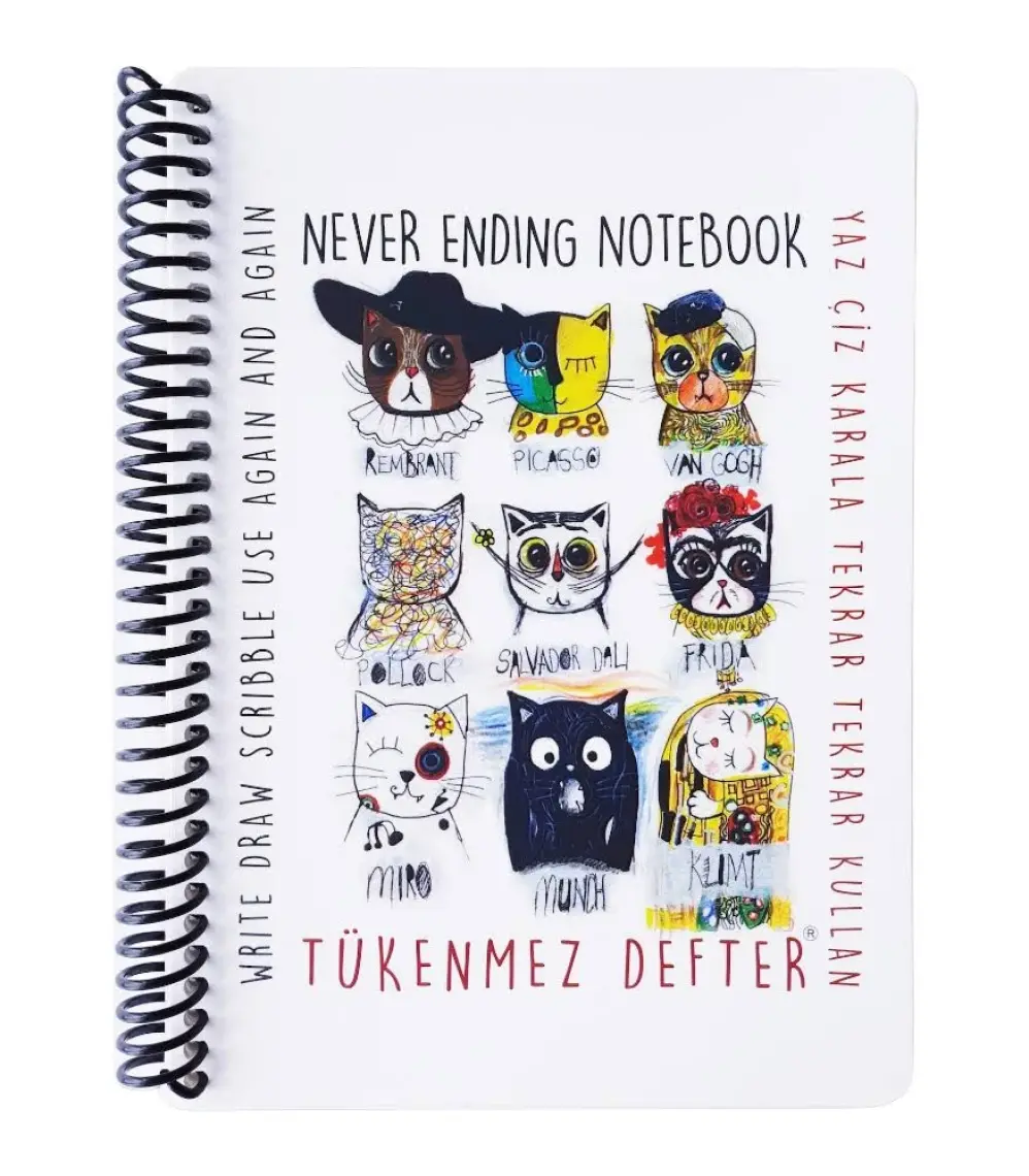 Akademi Çocuk Tükenmez Not Defteri-4 RESSAM KEDİLER-13x16cm