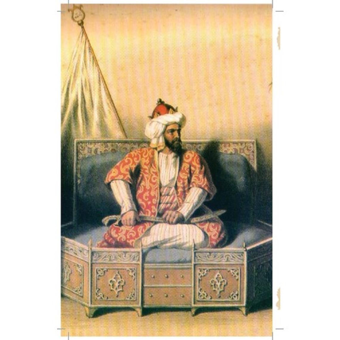 Osmanlı Padişahları - Erhan Afyoncu