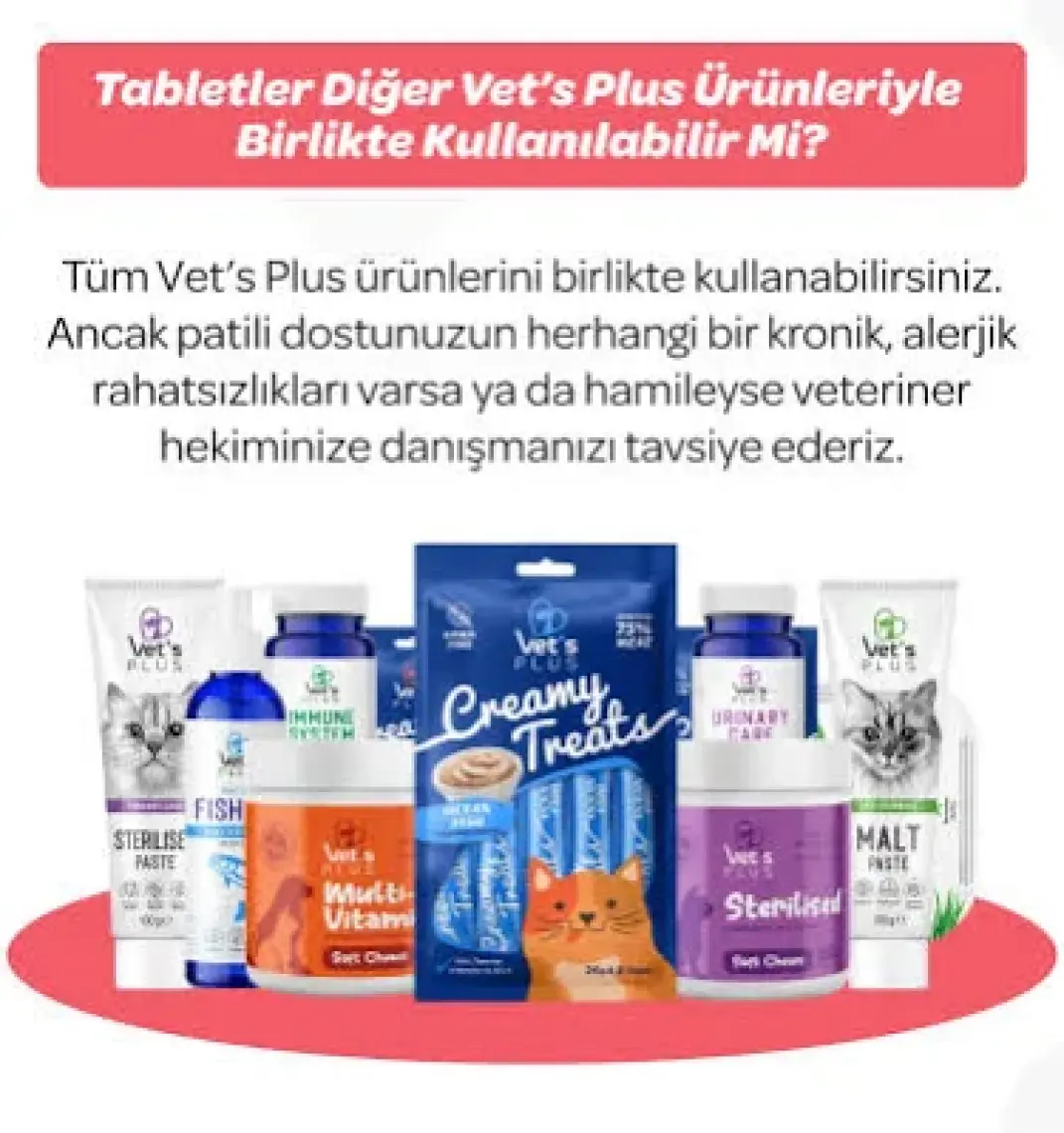 Vet's Plus Senior Çiğnenebilir Tablet 60'lı (Kedi ve Köpekler için Inulin ve Glukozamin Desteği)