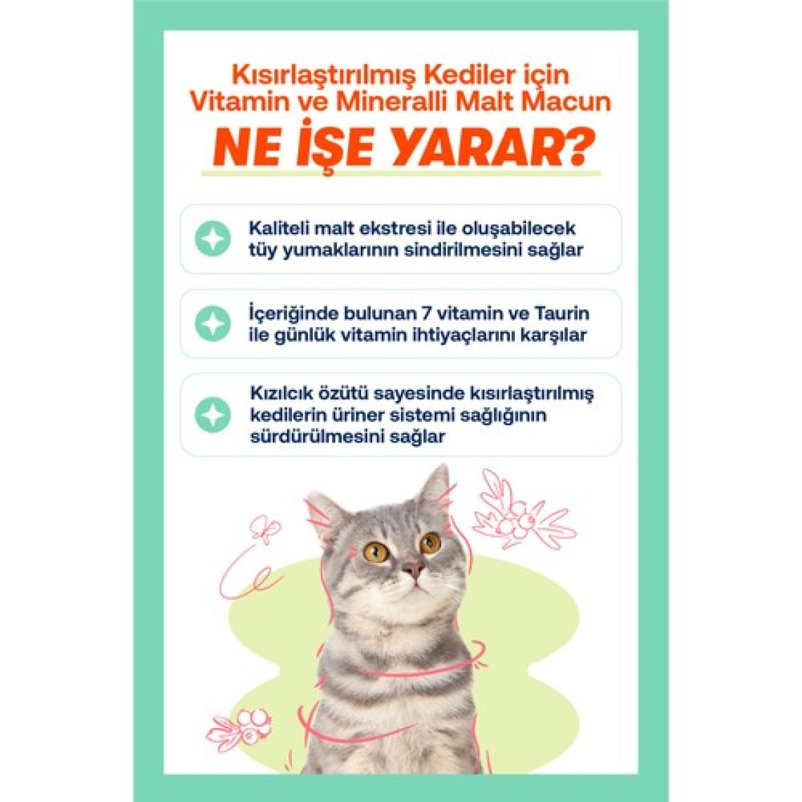 Biofeline Sterile Paste 100 Gr.  ( Kısırlaştırılmış Kedilere Özel Multivitaminli Malt Macunu )