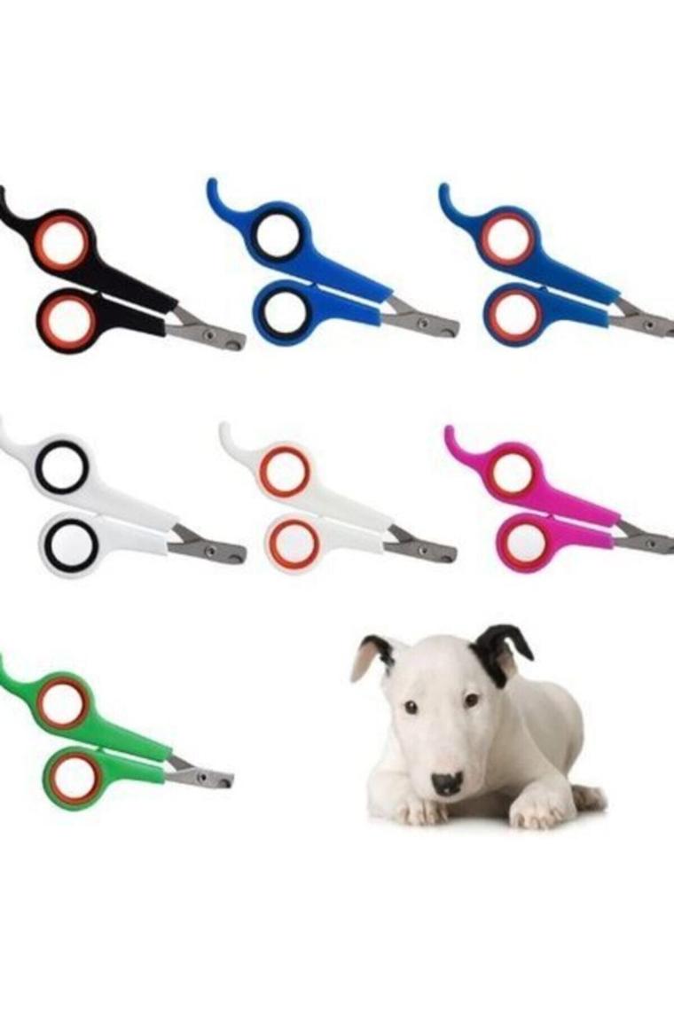 Cmt Kedi Köpek Tırnak Makası Renkli