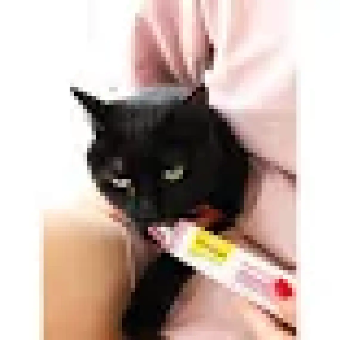 Gimcat Malt Soft Extra Kedi Macunu 100 gr – Doğal Malt Aromalı, Tüy Yumağı Oluşumunu Önleyen, Yetişkin Kedilere Özel