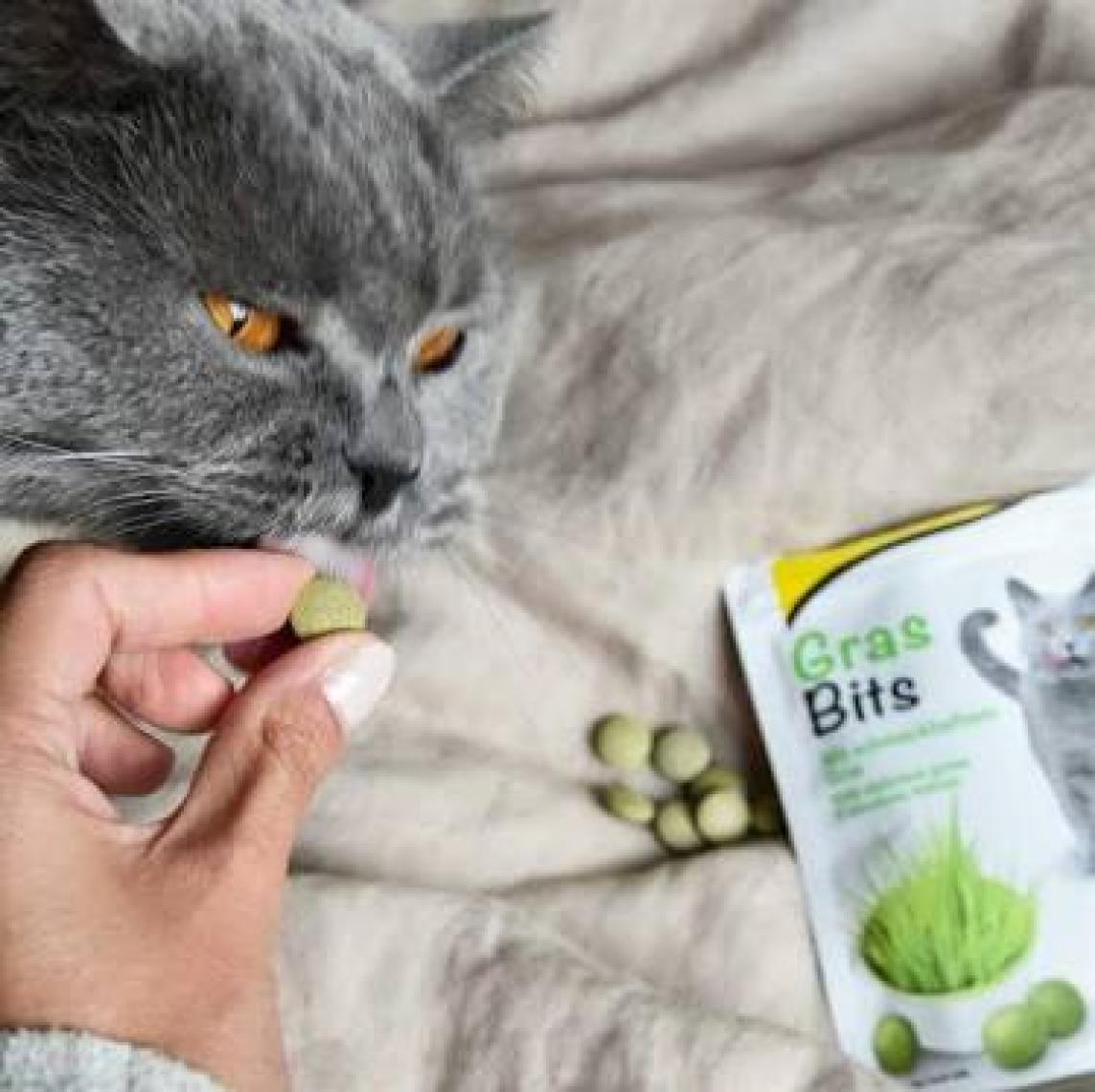 Gimpet Gras Bits - Kediler İçin Çimen Aromalı Sindirim Tableti 50 gr
