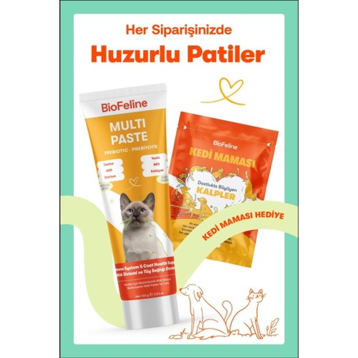 Biofeline Multi Paste 100 Gr. ( Kediler Için Multivitamin Macunu )