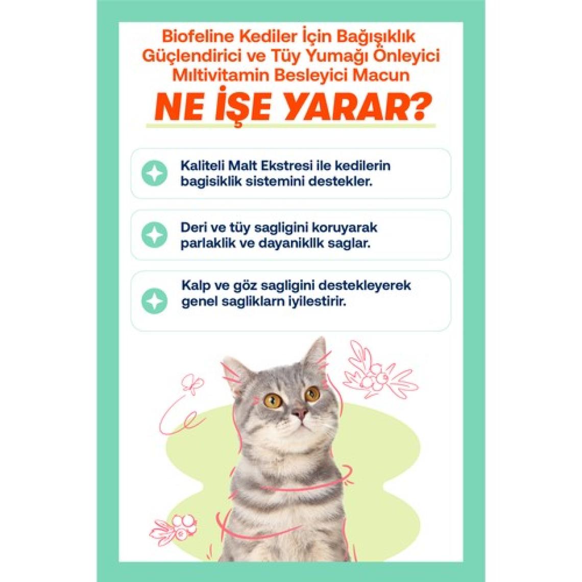 Biofeline Multi Paste 100 Gr. ( Kediler Için Multivitamin Macunu )