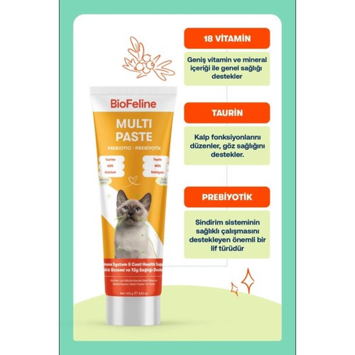 Biofeline Multi Paste 100 Gr. ( Kediler Için Multivitamin Macunu )