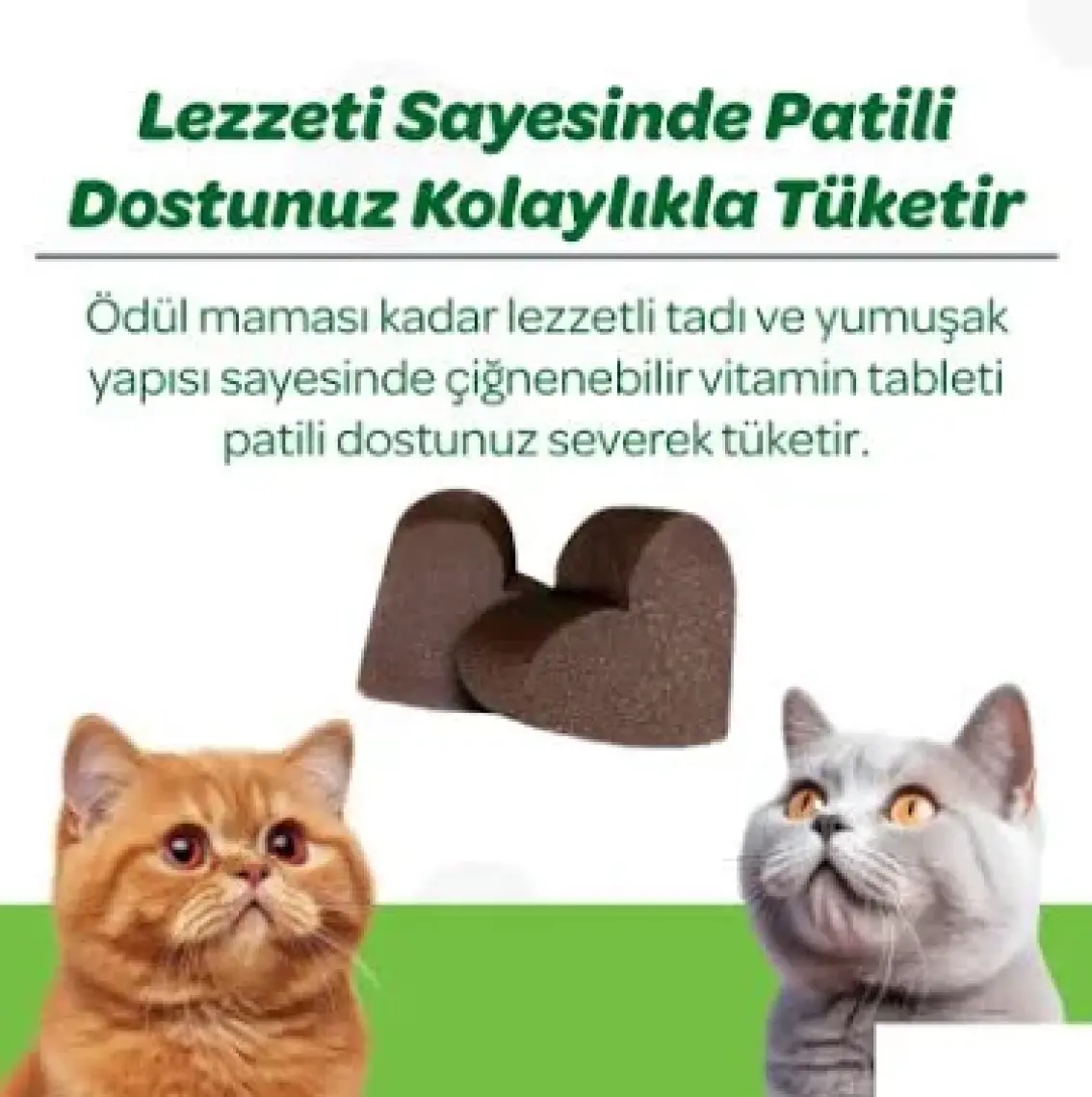 Vet's Plus Hairball Çiğnenebilir Tablet 60'lı (Malt ve Kionalı Tüy Yumağı Önleyici)