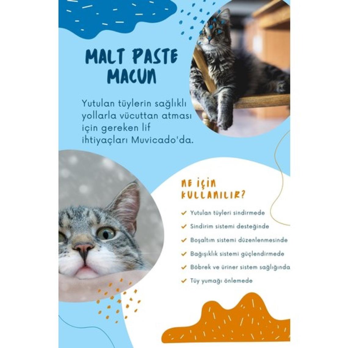 Muvicado Kedi Maltı - Kediler Için Tüy Yumağı Önleyici - Malt Paste  100G