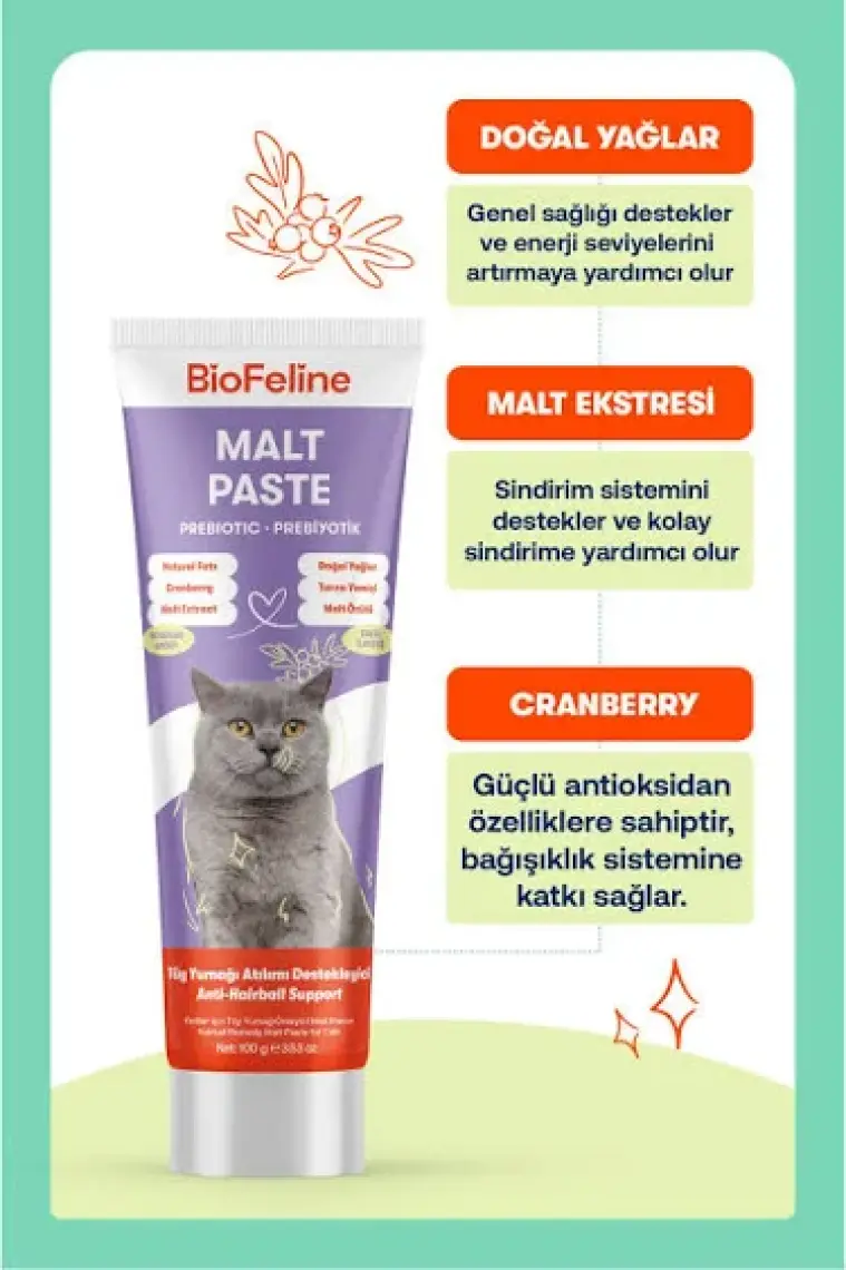 Rüyam Biofeline Kediler İçin  Malt Macunu 100g