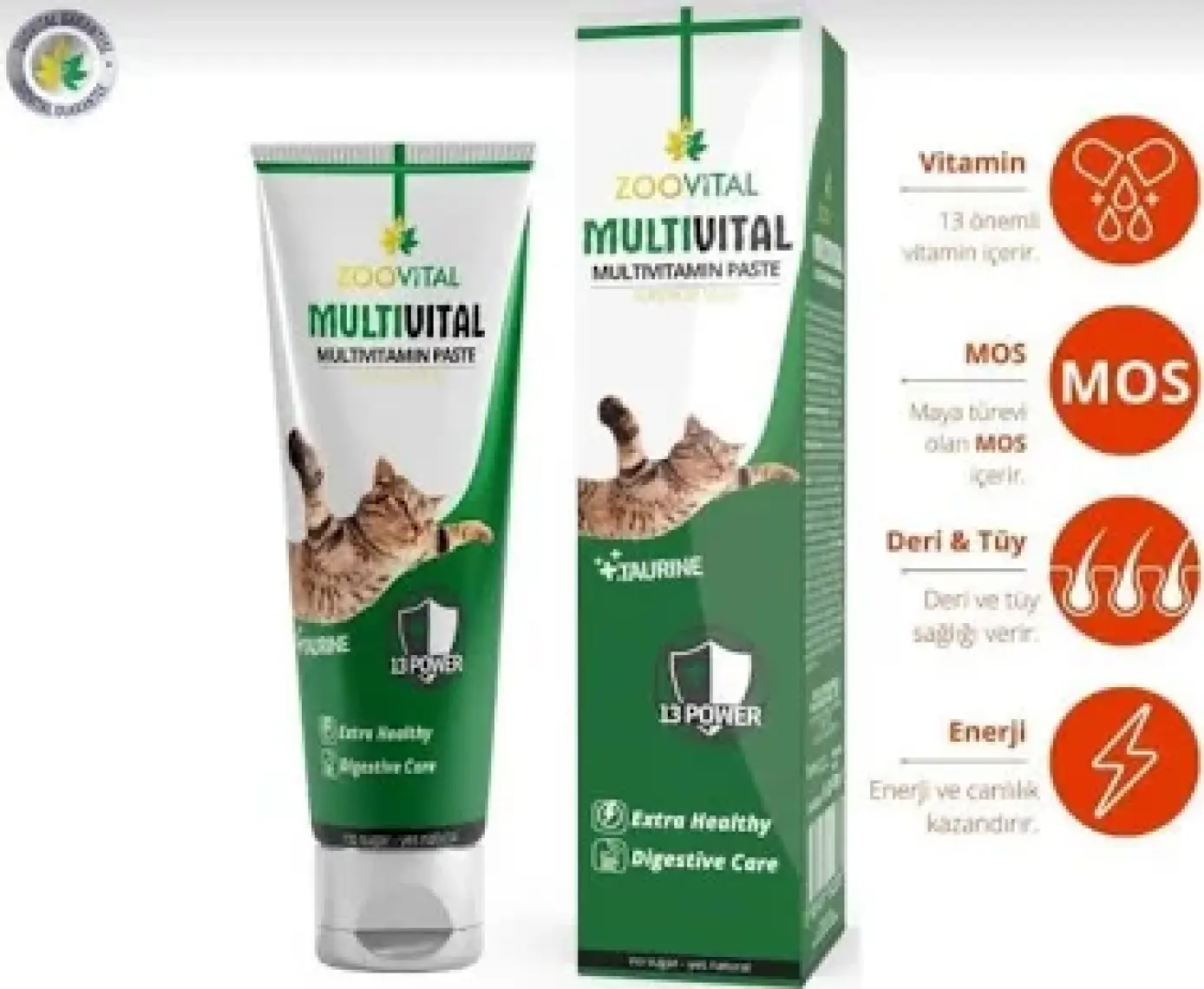 Zoo Vital Multivital Kedi Macunu 100 gr