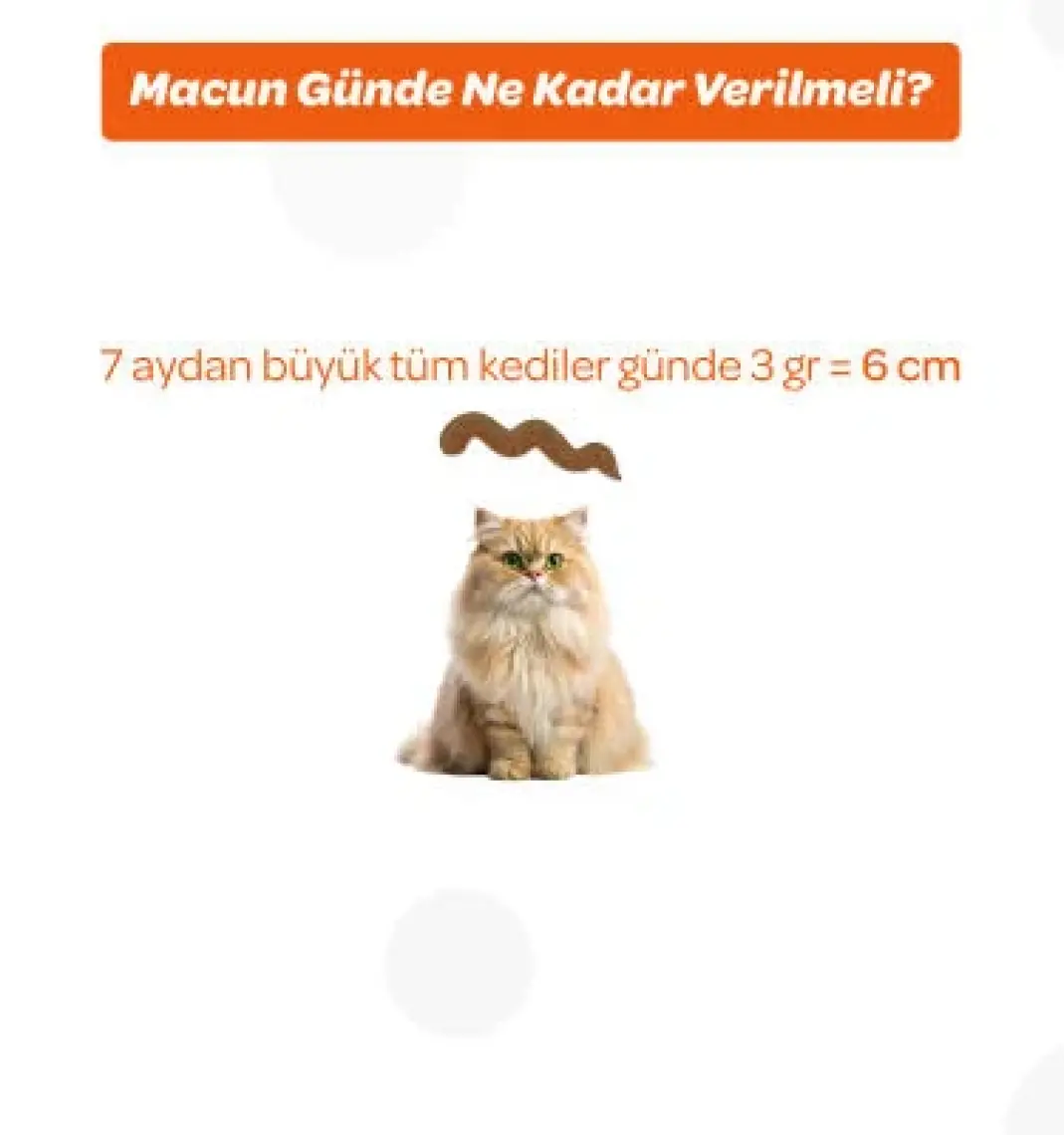 Vet's Plus Taurinli Multivitamin Kedi Macunu 30gr (Yetişkin Kediler için Multivitamin Desteği)