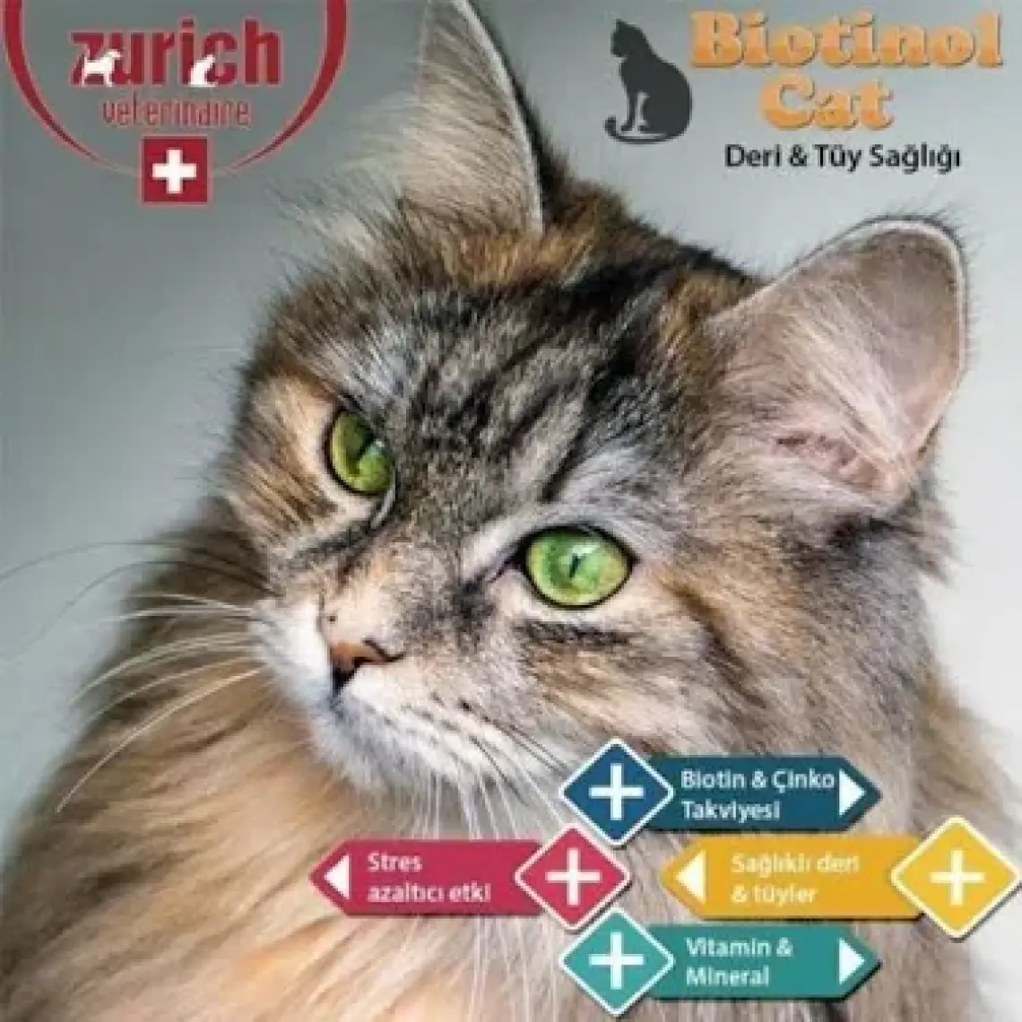 Zurich Biotinol Tabs Cat 75 Tablet