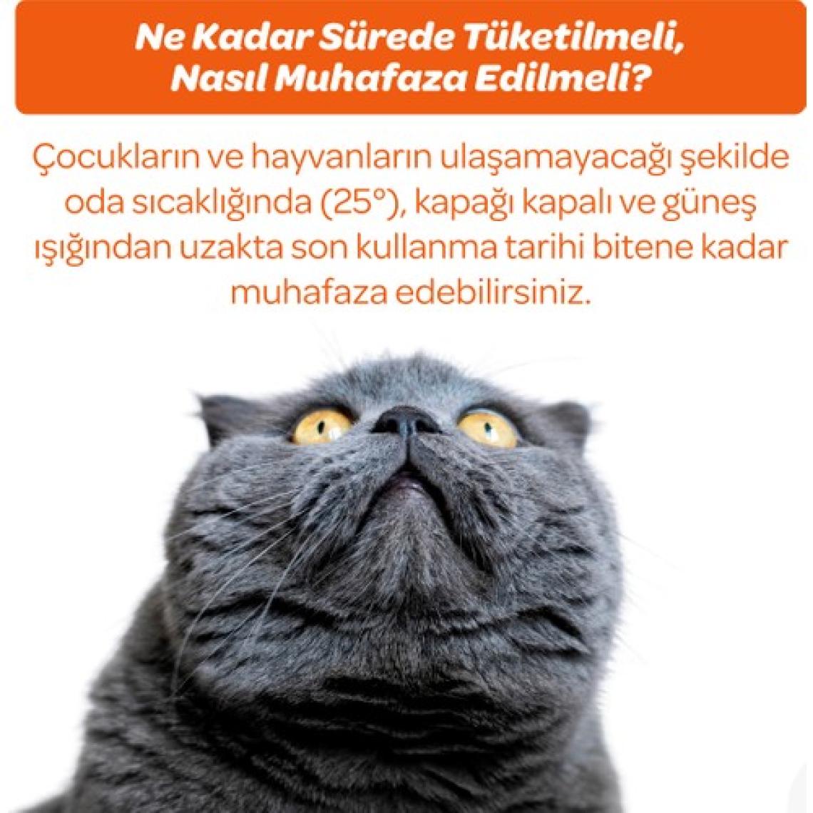 Vet's Plus Multivitamin Malt Macun 100gr (Yetişkin Kediler için Multivitamin Desteği)