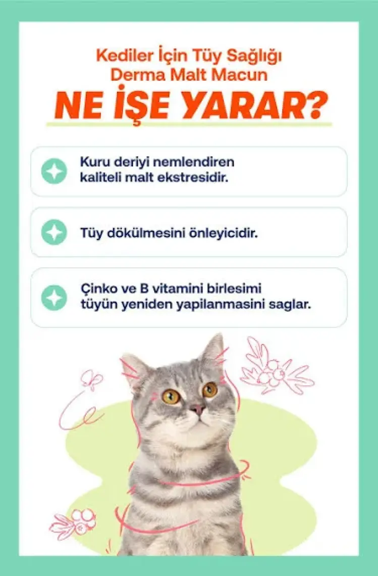 BioFeline Kediler İçin Derma Malt Macun – Tüy Sağlığı Destekleyici 100g