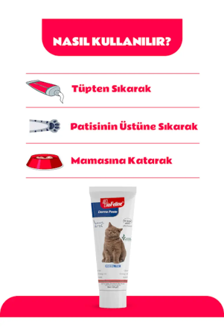 BioFeline Kediler İçin Derma Malt Macun – Tüy Sağlığı Destekleyici 100g