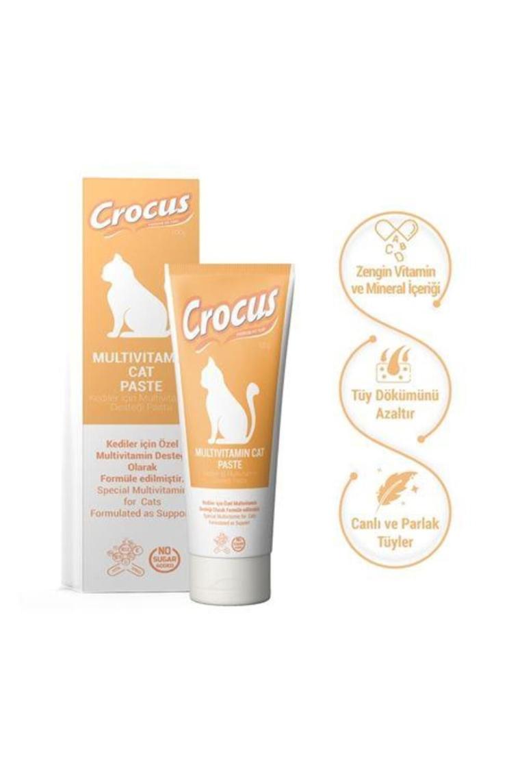 Crocus 100 gr Multivitamin Kedi Macunu