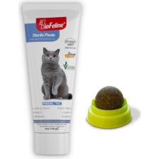 Biofeline Sterile Paste & Cat Nip