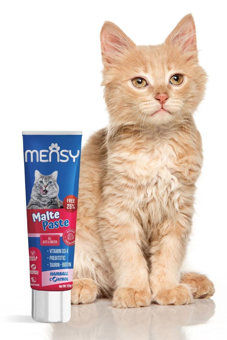 Mensy Malte Paste 125  gr Vitamin D3E  Prebiyotik Taurin Biotin