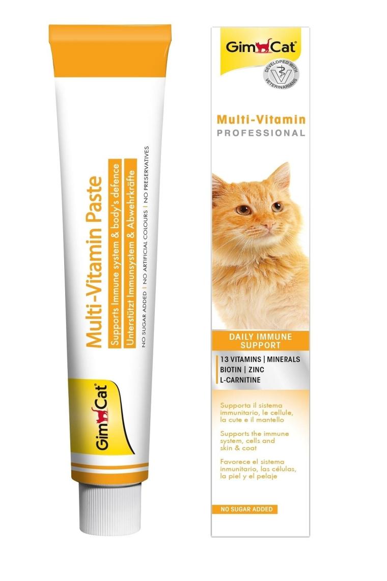 Gimcat Multi Vitamin Paste 100 gr Kedi Macunu