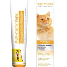 Gimcat Multi Vitamin Paste 100 gr Kedi Macunu
