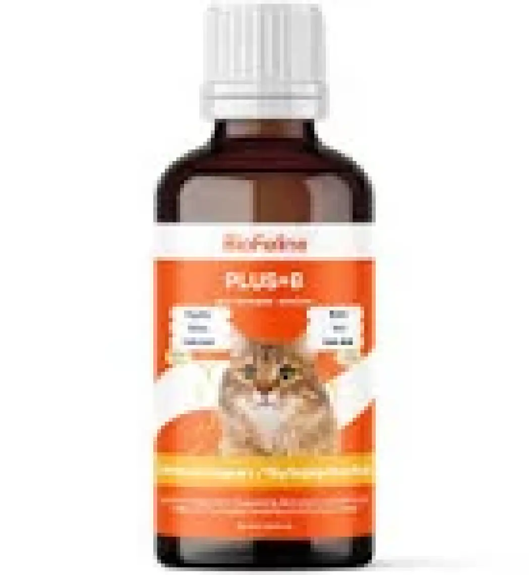 BioFeline Kediler İçin Biotinli Tüy Dökülmesini Azaltıcı Plus B Damla 50ml