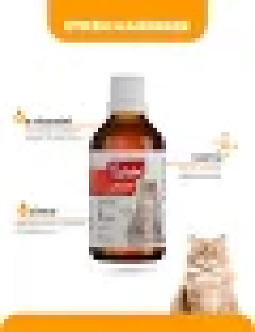 BioFeline Kediler İçin Biotinli Tüy Dökülmesini Azaltıcı Plus B Damla 50ml