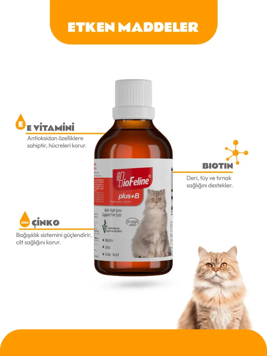 BioFeline Kediler İçin Biotinli Tüy Dökülmesini Azaltıcı Plus B Damla 50ml