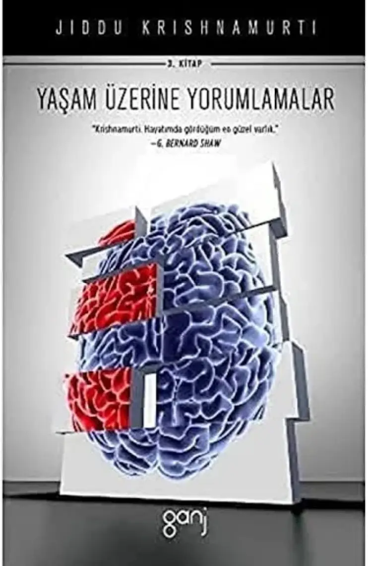 Yaşam Üzerine Yorumlamalar (Cilt 3)