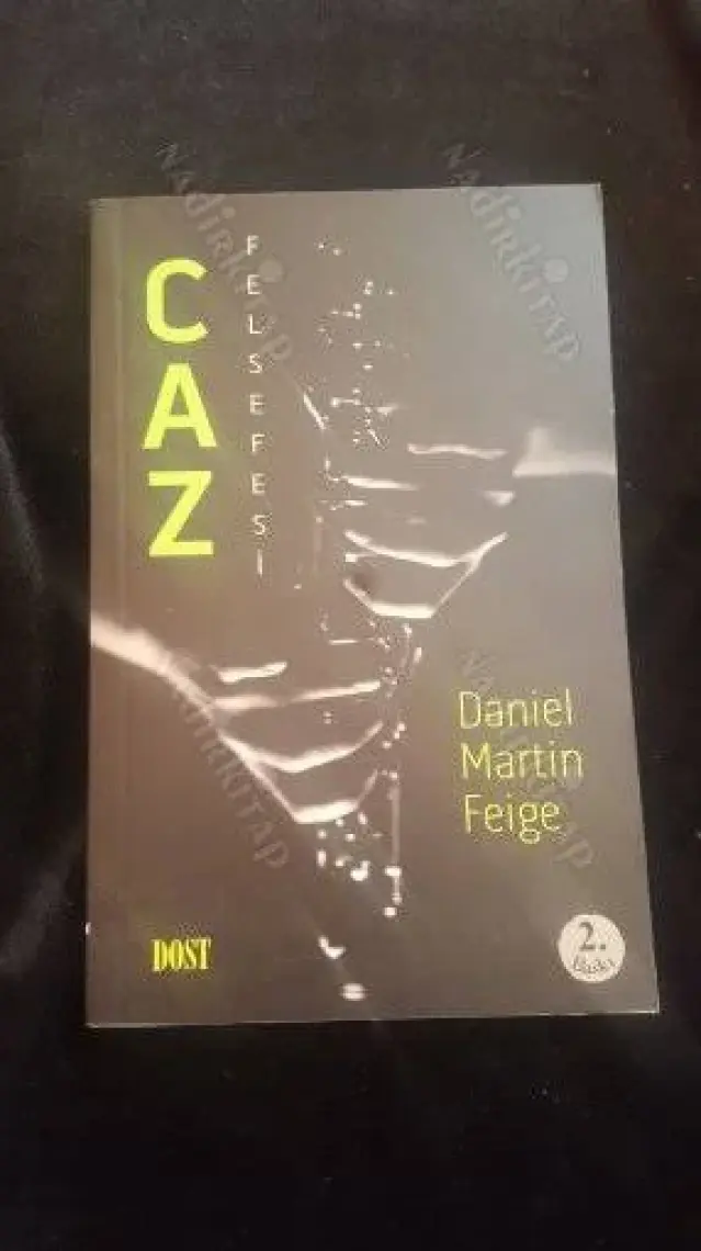 Caz Felsefesi - Daniel Martin Feige