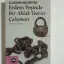 Erdem Peşinde - Alasdair Macıntyre