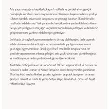 Orta Yaş Krizi - Felsefi Bir Rehber