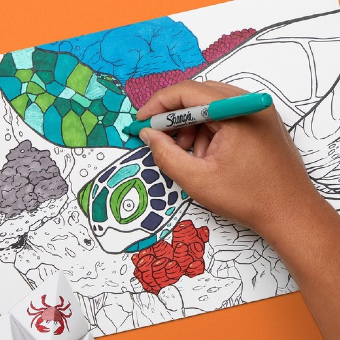 Sharpie Ultra Fine 4'lü Standard Renkler