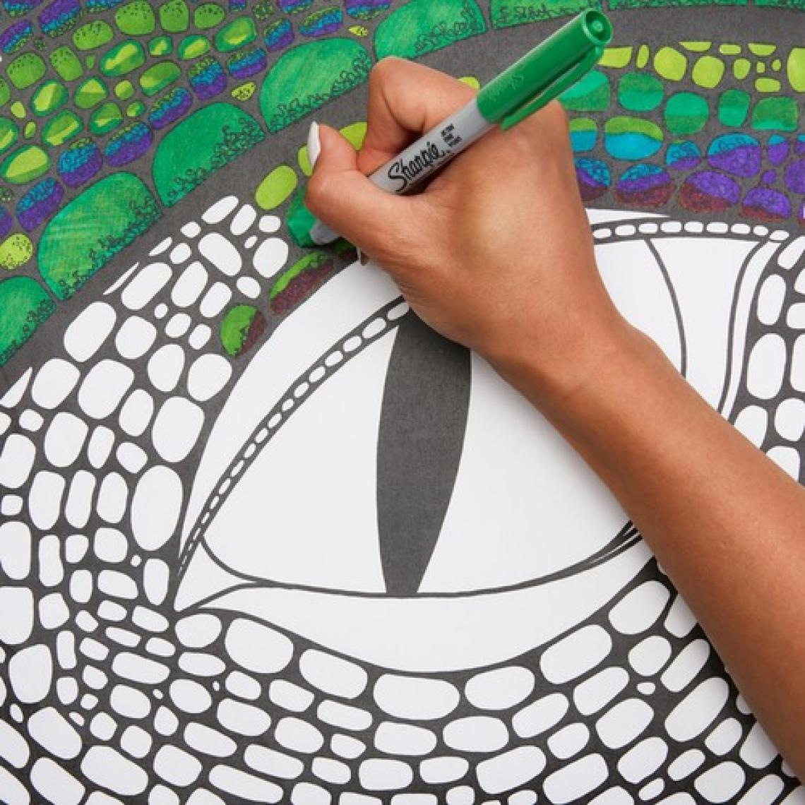 Sharpie Fine Permanent Markör 26'lı Karışık kutu- Aslan