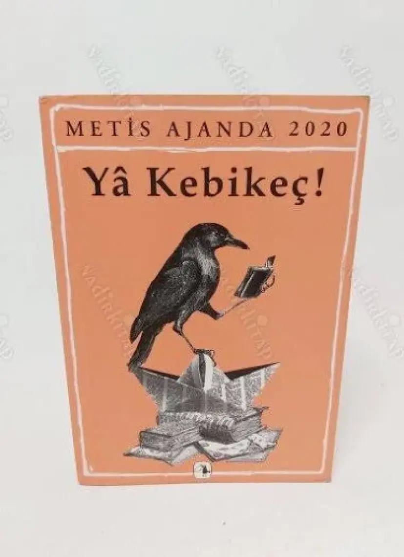 Metis Ajanda 2020: Yâ Kebikeç! - Emine Boran