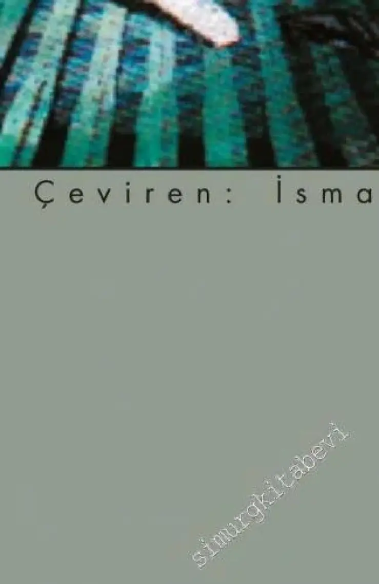 Modernlik ve Müphemlik