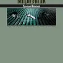Modernlik ve Müphemlik