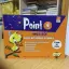 4. Sınıf Ingilizce Point