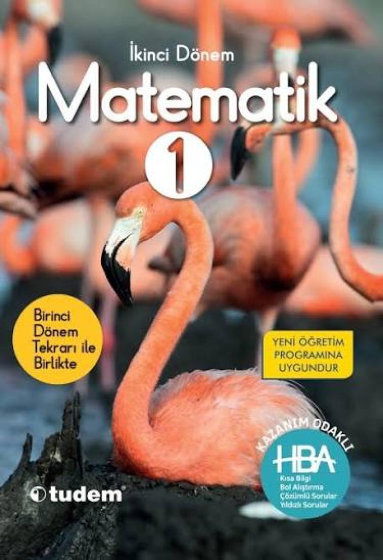 Tudem Yayınları 1. Sınıf Matematik HBA 2. Dönem