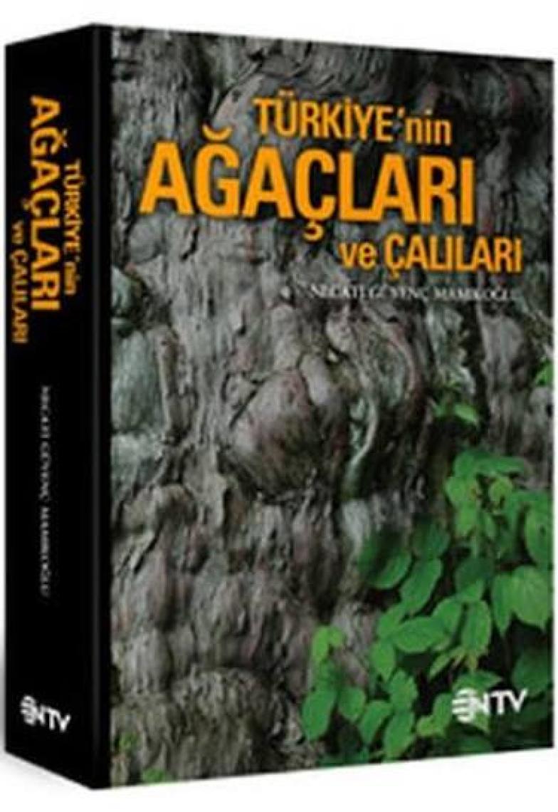Türkiye’nin Ağaçları Ve Çalıları