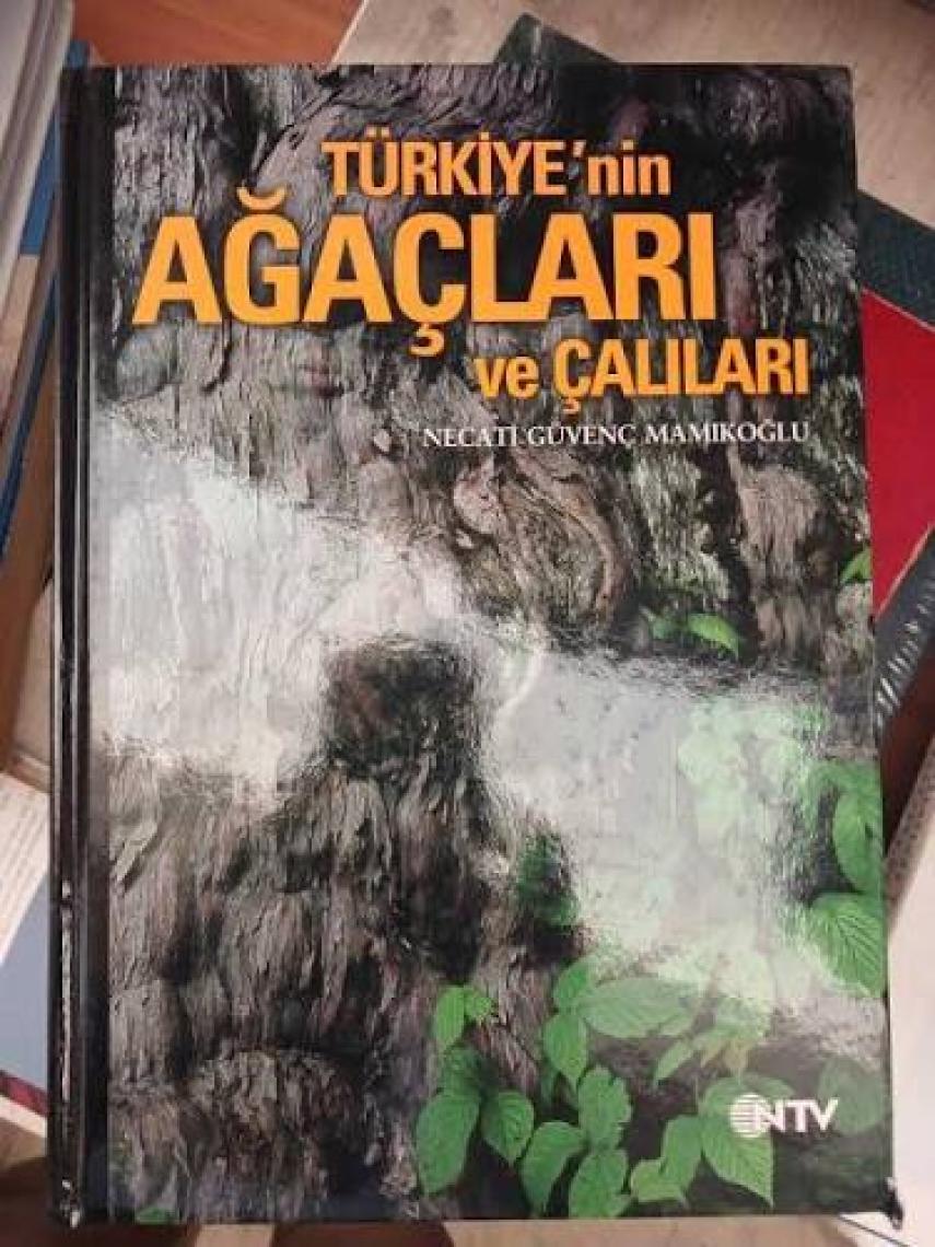 Türkiye’nin Ağaçları Ve Çalıları
