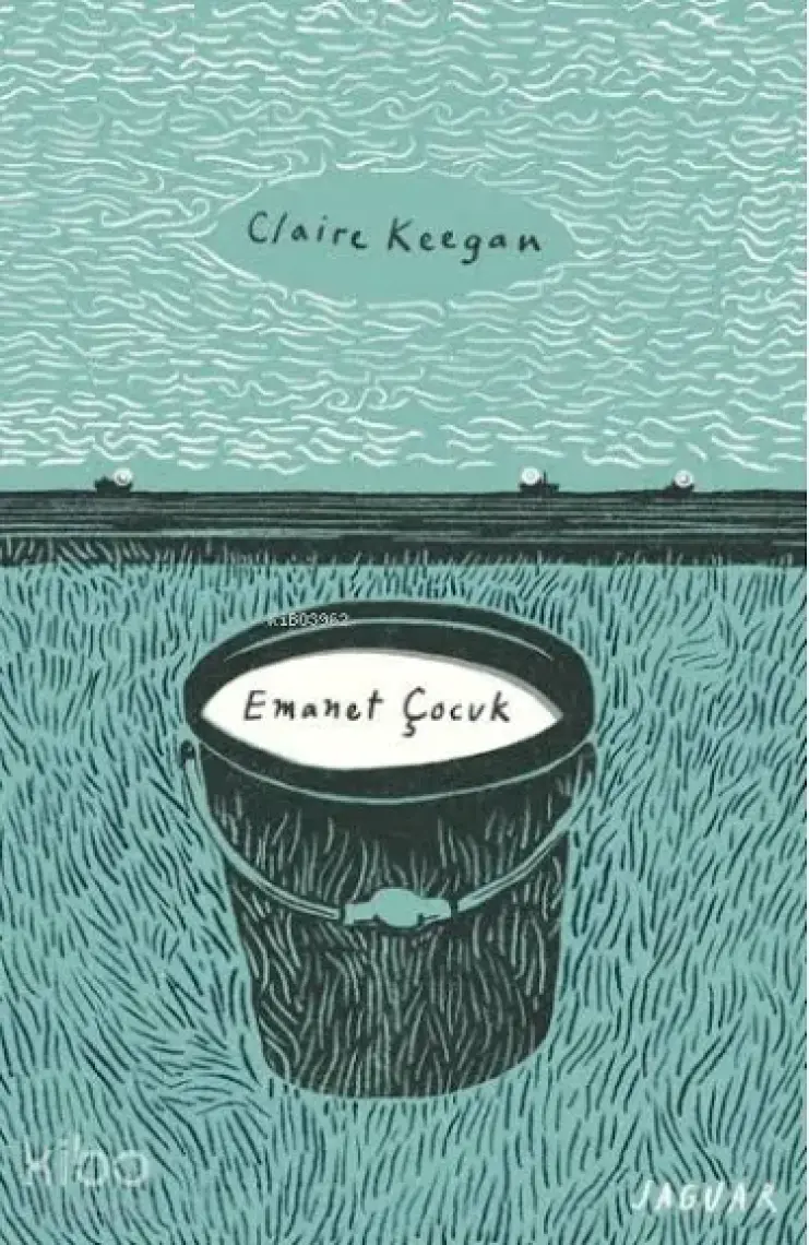 Emanet Çocuk - Claire Keegan