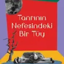 Tanrı'nın Nefesinde Bir Tüy - Sigrid Nunez