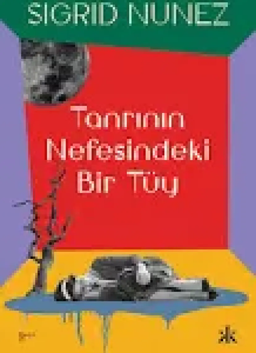 Tanrı'nın Nefesinde Bir Tüy - Sigrid Nunez