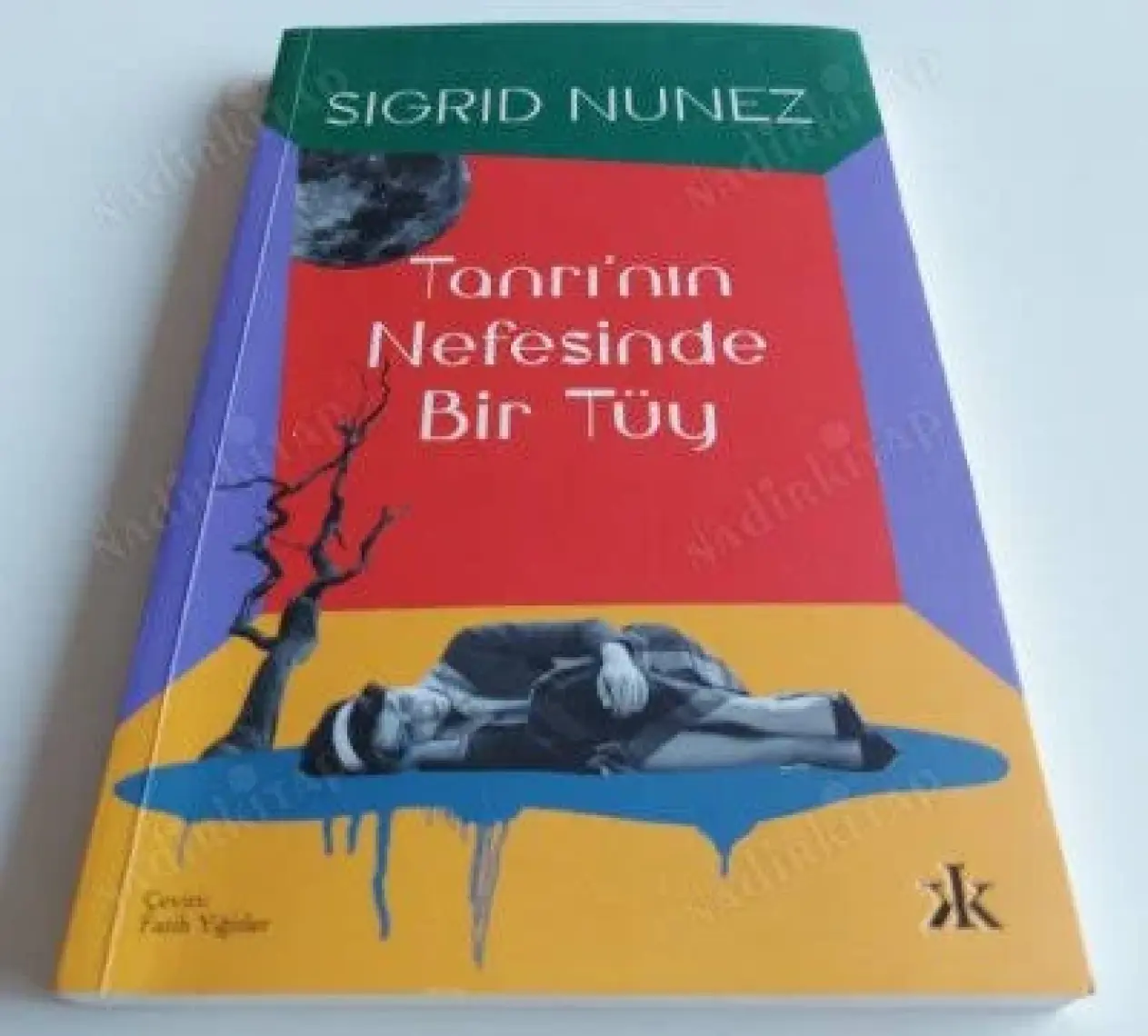 Tanrı'nın Nefesinde Bir Tüy - Sigrid Nunez