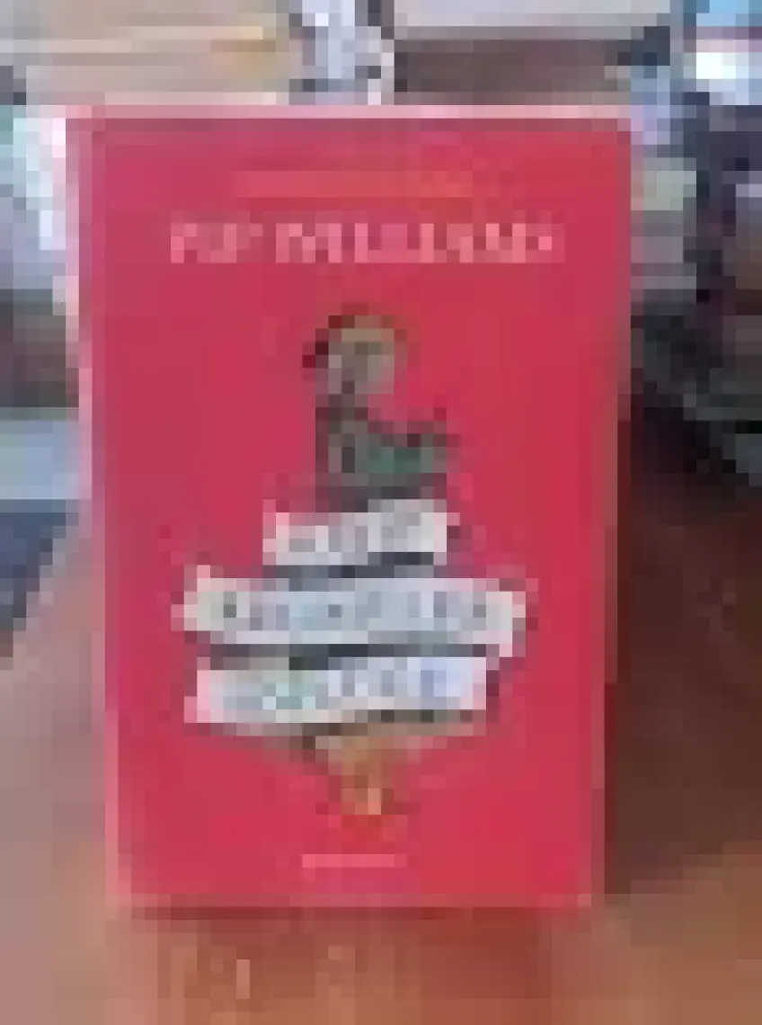 Kayıp Kelimeler Sözlüğü - Pip Williams