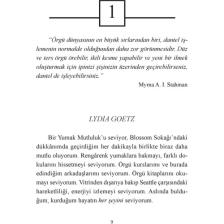 Mucizeler Dükkanına Dönüş - Debbie Macomber