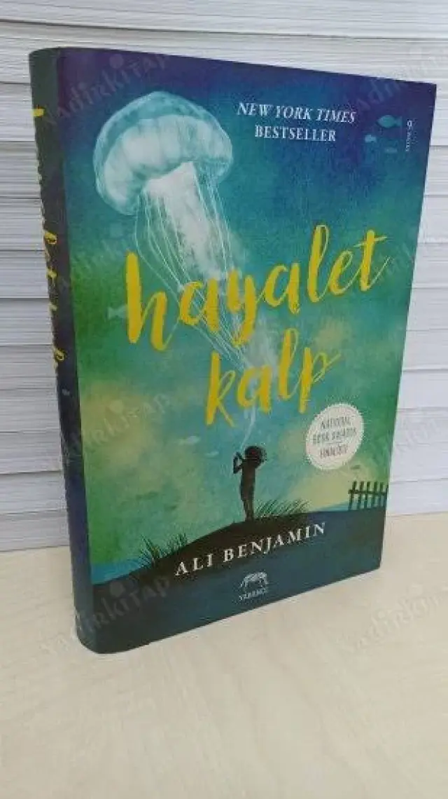 Hayalet Kalp - Ali Benjamin
